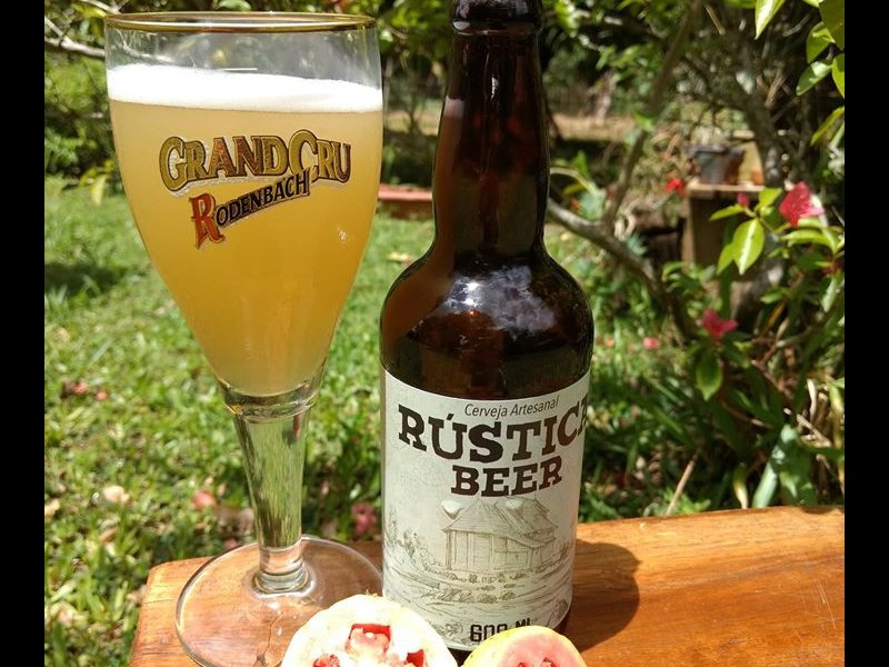 Chácara à venda Águas Claras com 945m² e 1 quarto por R$ 155.000 - 624646645-28164684-462358017500246-3732724168689376389-o.jpg