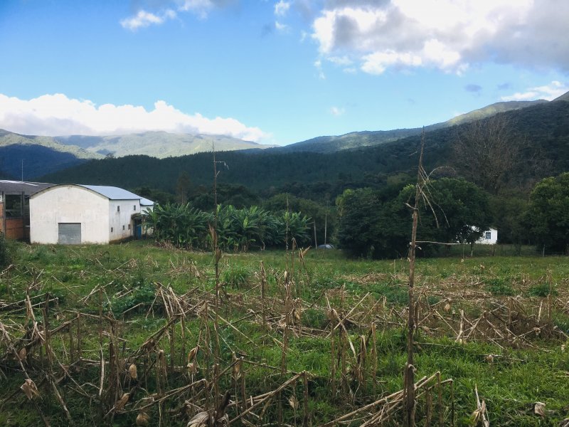 Fazenda à venda Varzea do Rio do braço com 450000m² e 4 quartos por R$ 1.350.000 - 1048922214-41c1a8d0-fe3d-4219-a01d-a1bdcebfc98a.jpeg