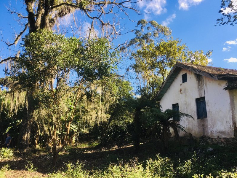 Fazenda à venda Varzea do Rio do braço com 450000m² e 4 quartos por R$ 1.350.000 - 1052806967-6a0d947a-321a-4e1f-9771-437006550519.jpeg