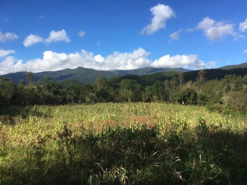 Fazenda à venda Varzea do Rio do braço com 450000m² e 4 quartos por R$ 1.350.000 - 1156398093-e2f2fd4d-67f7-4f8e-970f-682301ed8df9.jpeg