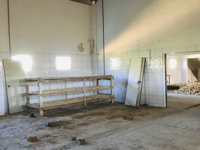 Fazenda à venda Varzea do Rio do braço com 450000m² e 4 quartos por R$ 1.350.000 - 1292230291-7e39717a-bc54-46ea-bab2-88f51731831c.jpeg