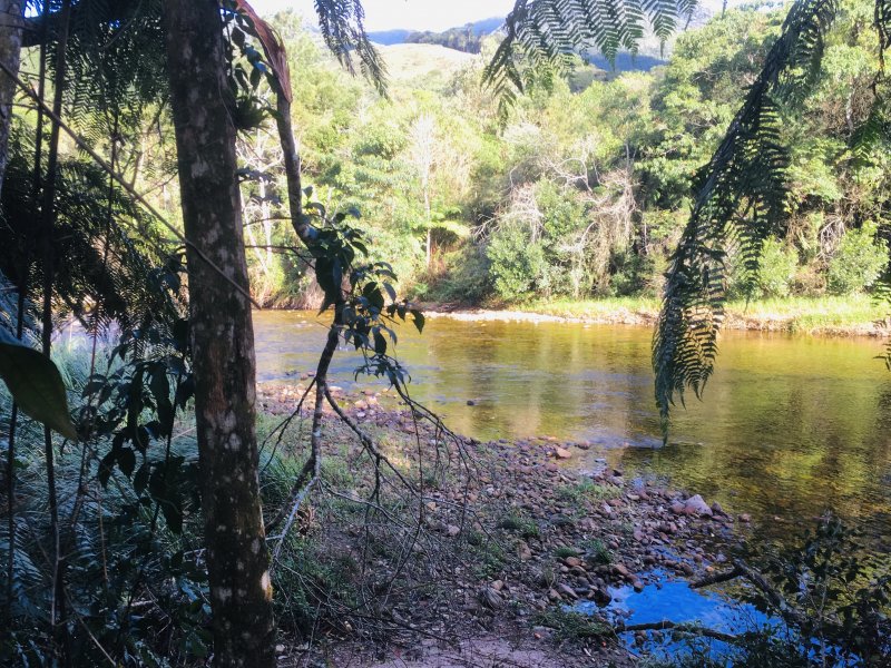 Fazenda à venda Varzea do Rio do braço com 450000m² e 4 quartos por R$ 1.350.000 - 140434717-a32517e9-ce8c-48cb-98c0-cd9d67a0c371.jpeg