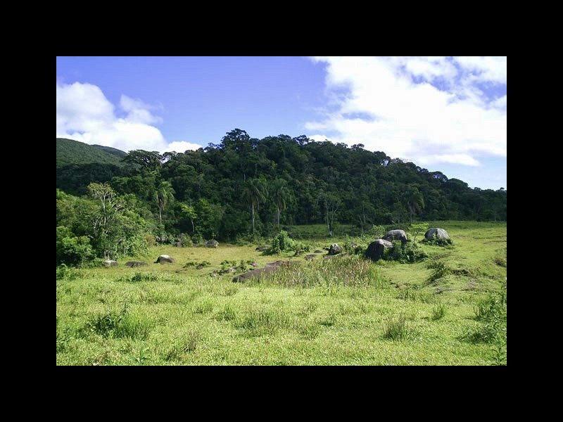 Fazenda à venda Varzea do Rio do braço com 450000m² e 4 quartos por R$ 1.350.000 - 304529322-c311156d-8c48-4281-b880-655a81eb9fc4.jpeg
