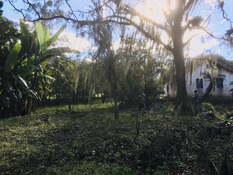 Fazenda à venda Varzea do Rio do braço com 450000m² e 4 quartos por R$ 1.350.000 - 409158180-cc4db40b-b1ad-442c-aa9c-ea73bc27003f.jpeg