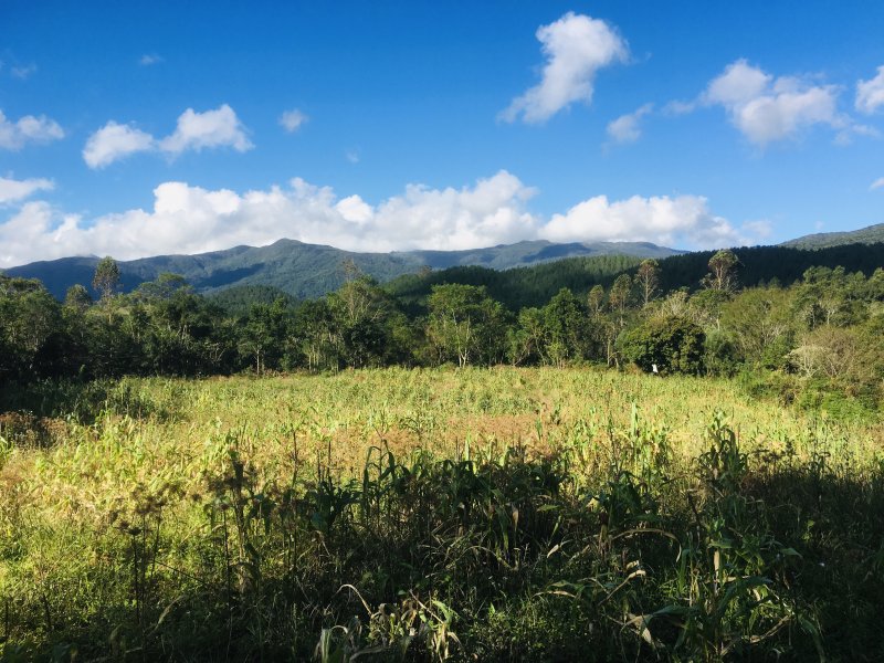 Fazenda à venda Varzea do Rio do braço com 450000m² e 4 quartos por R$ 1.350.000 - 467514051-ec705ec0-0a4e-4b2c-96d3-63253dc7c3c4.jpeg
