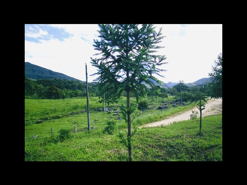Fazenda à venda Varzea do Rio do braço com 450000m² e 4 quartos por R$ 1.350.000 - 52117145-b10dd3f2-cd35-44ee-b4ff-c227816e8290.jpeg