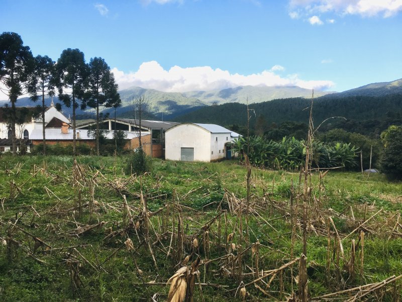 Fazenda à venda Varzea do Rio do braço com 450000m² e 4 quartos por R$ 1.350.000 - 536561594-0458e228-0f66-4318-b6d9-3d49c35d3713.jpeg