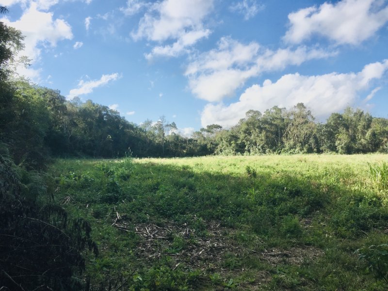Fazenda à venda Varzea do Rio do braço com 450000m² e 4 quartos por R$ 1.350.000 - 826734862-4d909251-73a8-4c92-a228-acebd17f3a07.jpeg