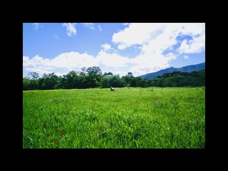 Fazenda à venda Varzea do Rio do braço com 450000m² e 4 quartos por R$ 1.350.000 - 850525164-32848b98-16a3-405b-9173-9bbc236da9e8.jpeg