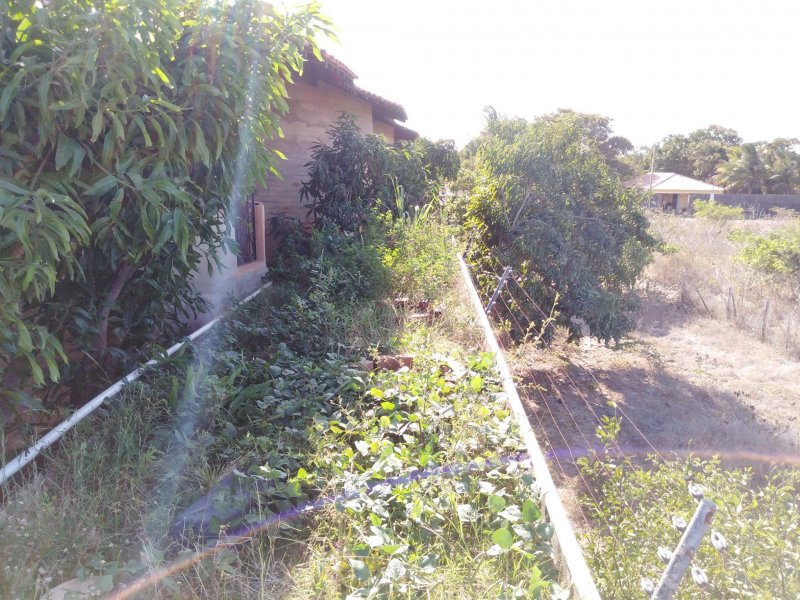 Casa à venda Frei Higino com 250m² e 4 quartos por R$ 395.000 - 147570386-75594519-559026954911725-5223612184004657152-o-559026948245059.jpg