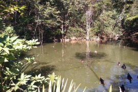 Casa à venda Jardim Rio das Pedras com 120m² - 3 dormitórios -  vagas - R$ 475.000 - 420389684-screenshot-20200605-1129572.png