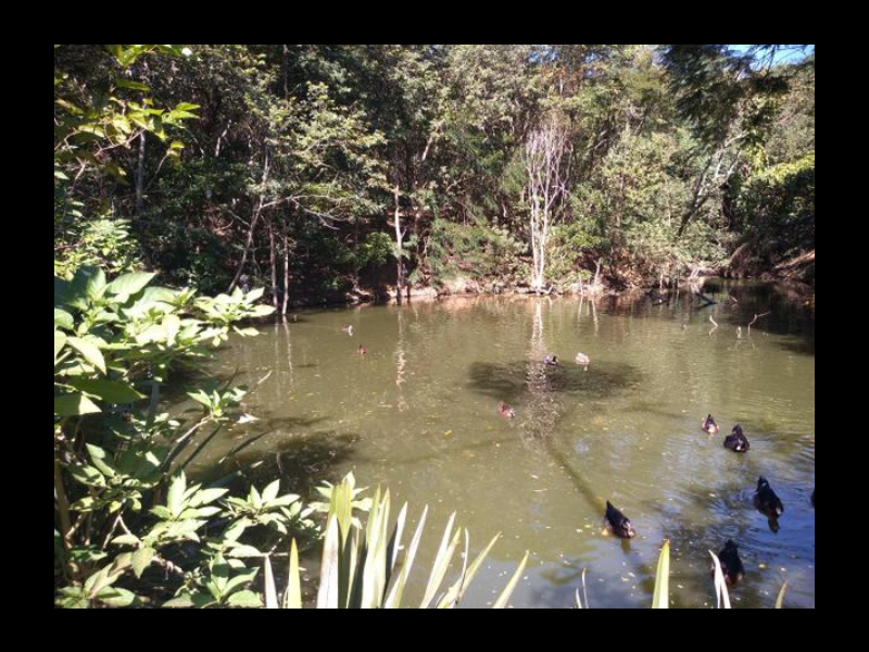 Casa à venda Jardim Rio das Pedras com 120m² e 3 quartos por R$ 475.000 - 420389684-screenshot-20200605-1129572.png