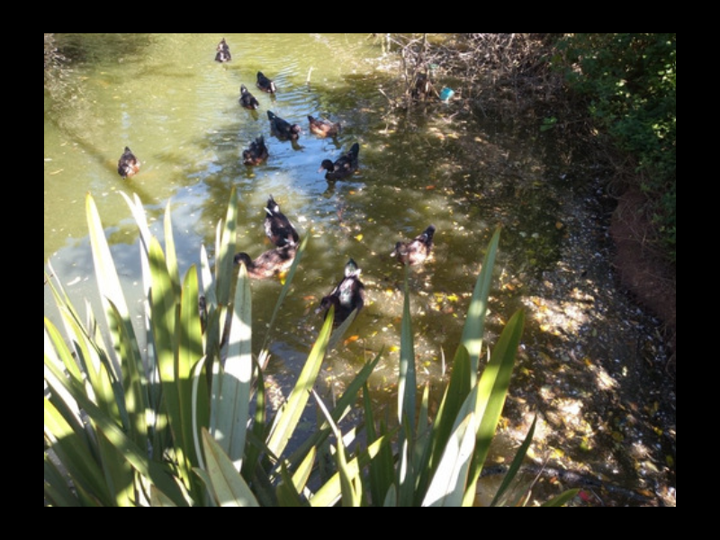 Casa à venda Jardim Rio das Pedras com 120m² e 3 quartos por R$ 475.000 - 64957813-screenshot-20200605-1653402.png