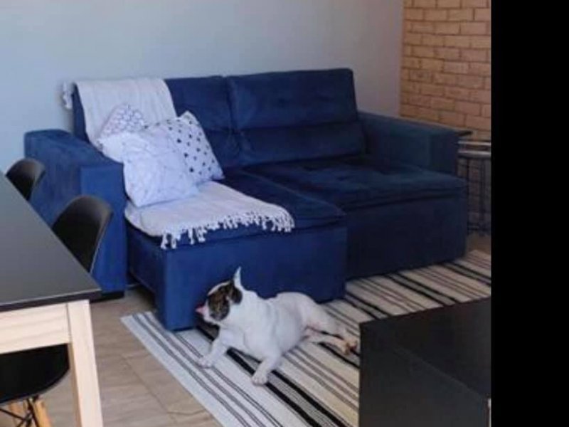 Apartamento à venda Engenho de Dentro com 60m² e 2 quartos por R$ 180.000 - 110496088-103125235-581152262833380-3462058100901543936-n.jpg