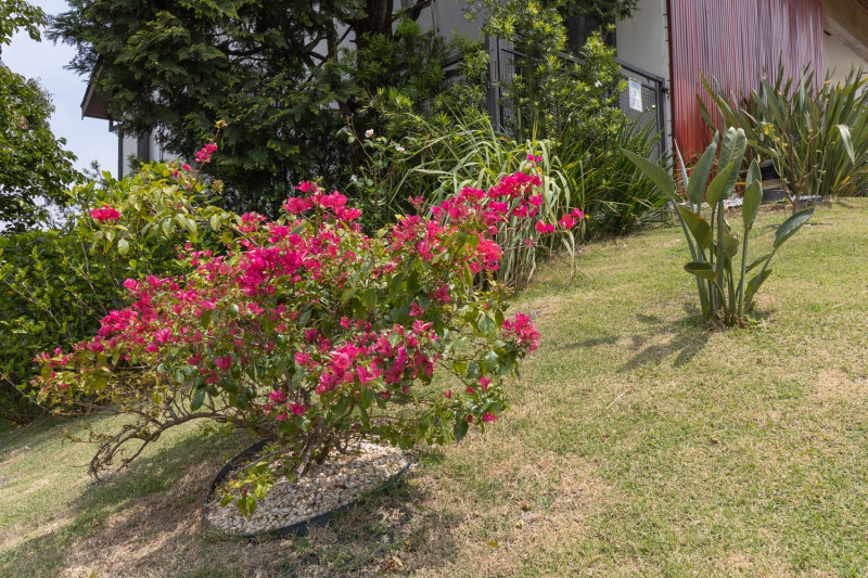 Casa de condomínio à venda Alphaville com 600m² e 6 quartos por R$ 3.800.000 - 700211294-casa-bruno-lobo-14.jpg