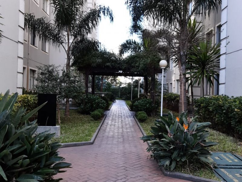 Apartamento à venda Paulicéia com 49m² e 2 quartos por R$ 250.000 - 788354831-img-20200611-wa0058.jpg