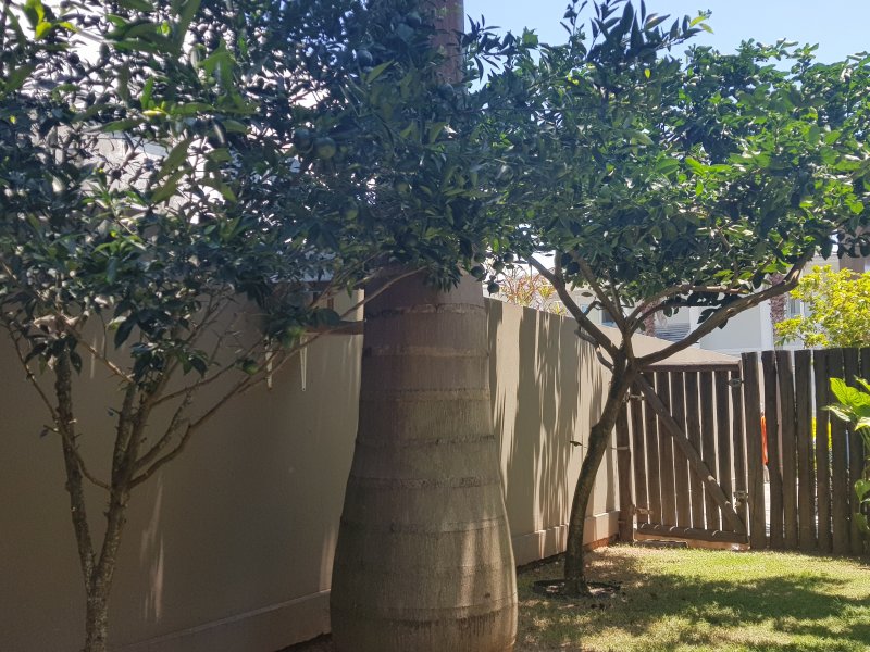 Casa de condomínio à venda Autódromo com 430m² e 5 quartos por R$ 1.850.000 - 1612436490-20200201-125459.jpg