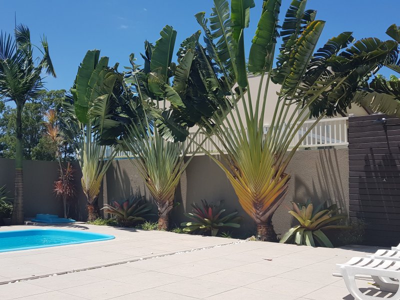 Casa de condomínio à venda Autódromo com 430m² e 5 quartos por R$ 1.850.000 - 870213676-20200201-130548.jpg