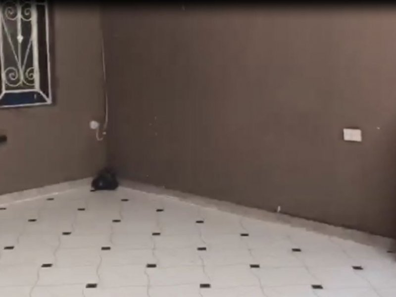 Casa à venda Jardim Caravelas com 190m² e 3 quartos por R$ 625.000 - 1508848532-foto2.JPG