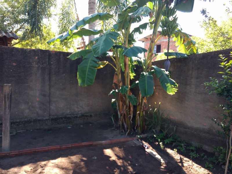 Apartamento à venda Santa Isabel com 10m² e 2 quartos por R$ 190.000 - 798451145-img-20200419-101159599.jpg