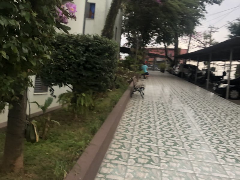 Apartamento à venda Jardim Eledy com 52m² e 2 quartos por R$ 215.000 - 781021572-c089f102-2f3b-4a90-a51b-8d26e85bddc1.jpeg