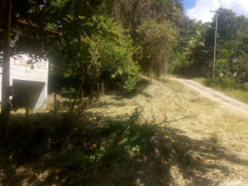 Terreno à venda Pindobal com 2278m² e  quartos por R$ 180.000 - 102619790-whatsapp-image-2020-03-28-at-11.jpeg