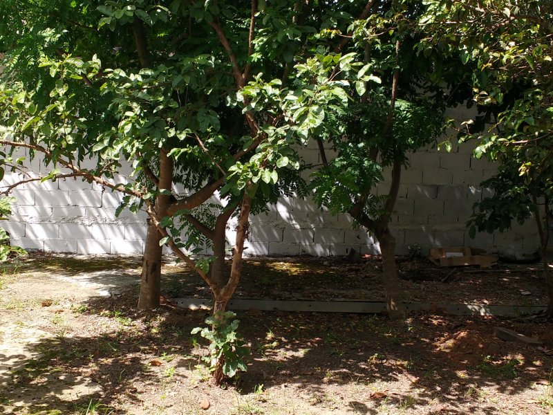 Casa à venda Jardim Mirian com 488m² e 3 quartos por R$ 590.000 - 1889578477-img-20190102-153518475.jpg