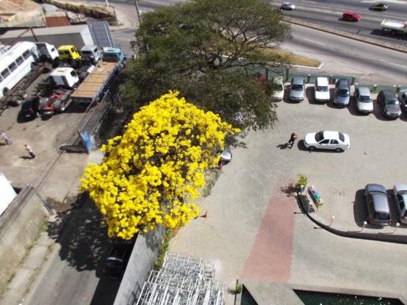 Comercial à venda São Francisco com 10377m² e 5 quartos por R$ 19.700.000 - 1372447226-whatsapp-image-2020-06-16-at-14.jpeg
