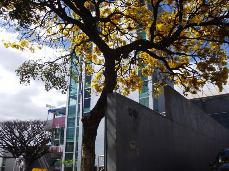 Comercial à venda São Francisco com 10377m² e 5 quartos por R$ 19.700.000 - 91230694-whatsapp-image-2020-06-16-at-14.jpeg