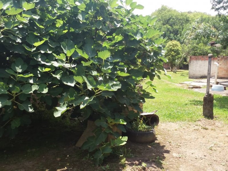 Chácara à venda Sao caetano com 200m² e 4 quartos por R$ 400.000 - 1841449303-img-20200617-wa0044.jpg