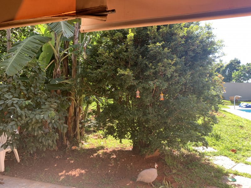 Chácara à venda Centro com 2700m² e 4 quartos por R$ 900.000 - 780822327-45fa5b4f-0a82-4934-9630-2be43f9cb64c.jpeg