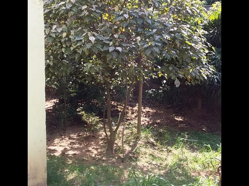 Casa à venda Jardim Beatriz com 642m² e 5 quartos por R$ 1.100.000 - 1456540917-img-20200424-wa0084.jpg