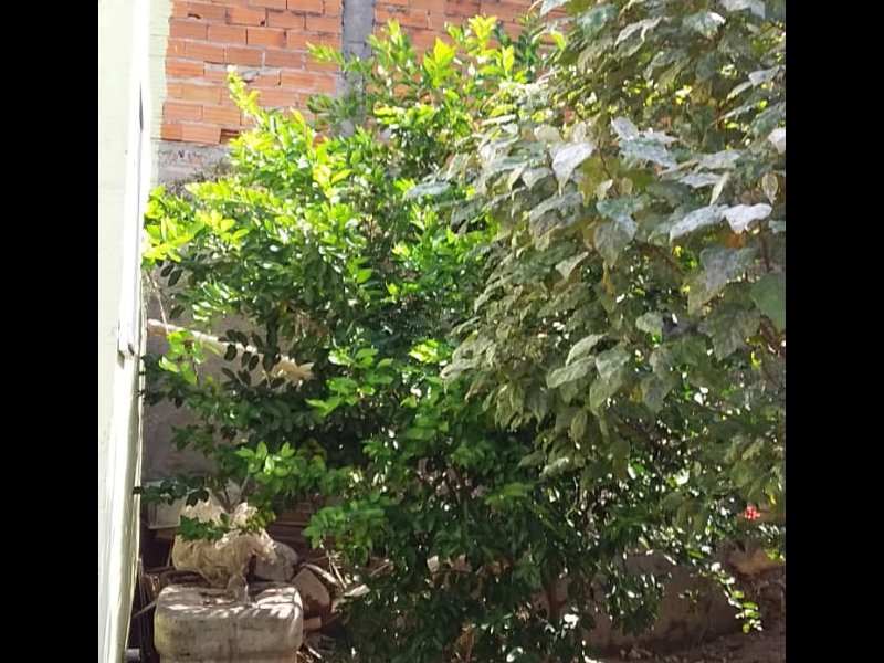 Casa à venda Jardim Beatriz com 642m² e 5 quartos por R$ 1.100.000 - 1902793908-img-20200424-wa0097.jpg