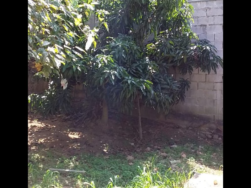 Casa à venda Jardim Beatriz com 642m² e 5 quartos por R$ 1.100.000 - 2094363886-img-20200424-wa0085.jpg