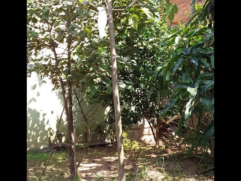 Casa à venda Jardim Beatriz com 642m² e 5 quartos por R$ 1.100.000 - 643236484-img-20200424-wa0088.jpg