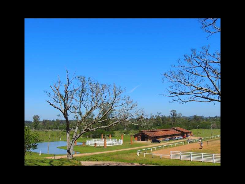 Sítio à venda Vila Aparecida com 63000m² e 3 quartos por R$ 1.500.000 - 1145871839-geral-1.jpg