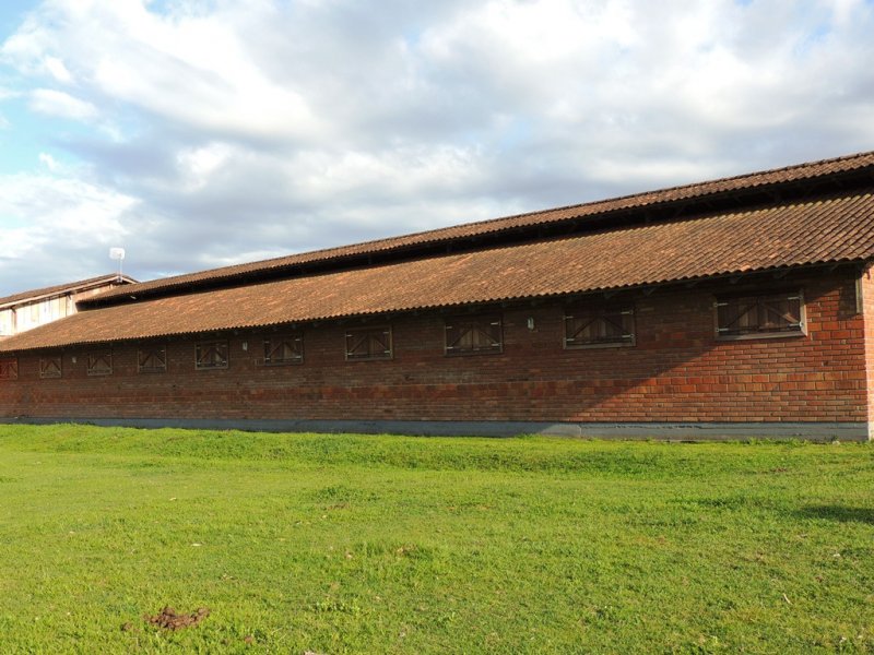 Sítio à venda Vila Aparecida com 63000m² e 3 quartos por R$ 1.500.000 - 1320578009-pavilhao.JPG