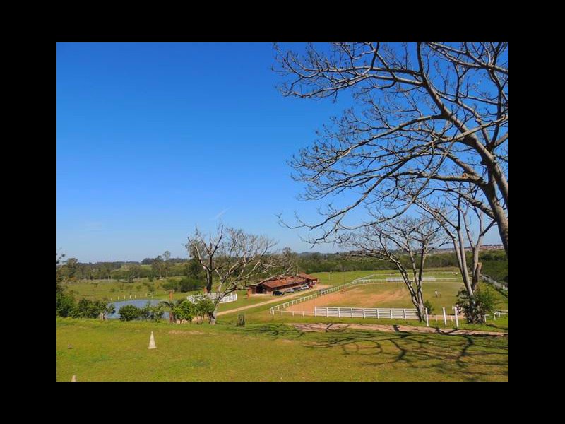 Sítio à venda Vila Aparecida com 63000m² e 3 quartos por R$ 1.500.000 - 667421280-geral-2.jpg
