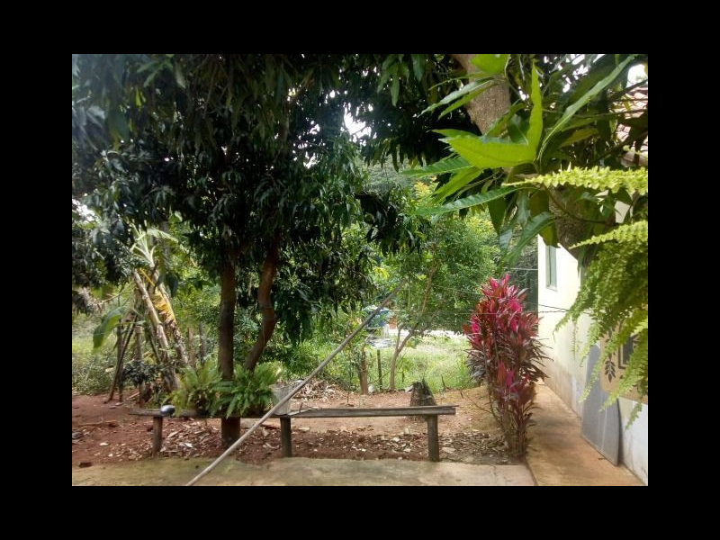 Chácara à venda portela com 650m² e 4 quartos por R$ 180.000 - 565376793-102810643-289128762474740-7706975816107339601-n.png