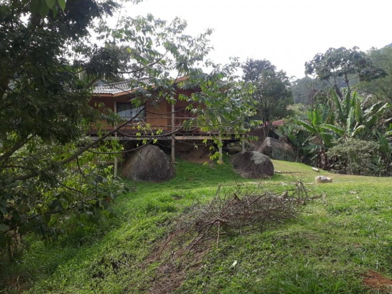 Chácara à venda Setor Socioeconômico 21 com 2000m² e 3 quartos por R$ 450.000 - 806179754-03a420aa-7555-4bb9-890a-ef6ece70d0bb.jpg