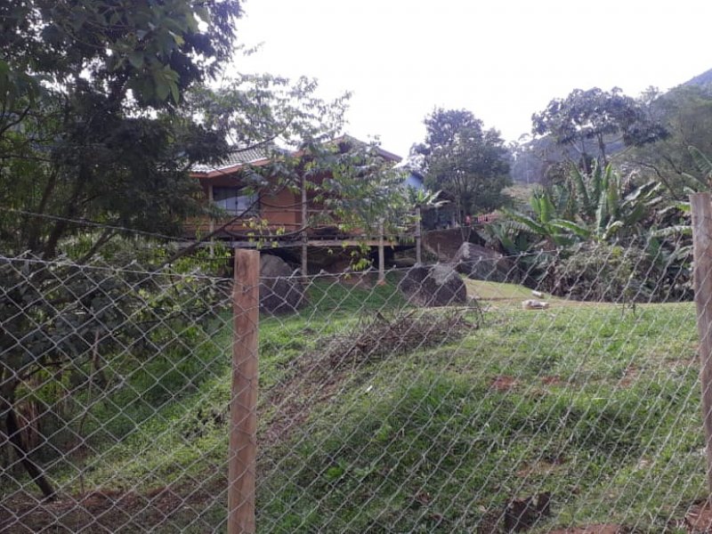Chácara à venda Setor Socioeconômico 21 com 2000m² e 3 quartos por R$ 450.000 - 979163013-9f13f5cc-6748-477c-b985-b87c5b3e3dc3.jpg