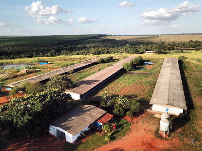 imóvel com 55m² - Brasil - Uberlândia