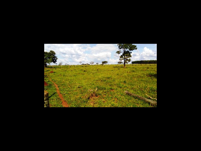 imóvel com 55m² - Brasil - Uberlândia