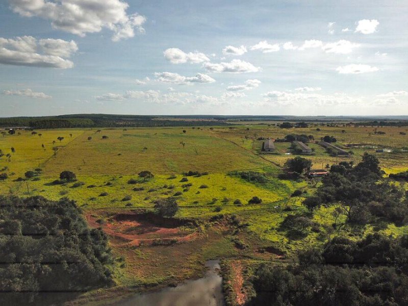 imóvel com 55m² - Brasil - Uberlândia