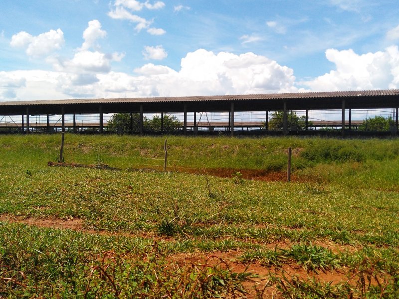 imóvel com 55m² - Brasil - Uberlândia