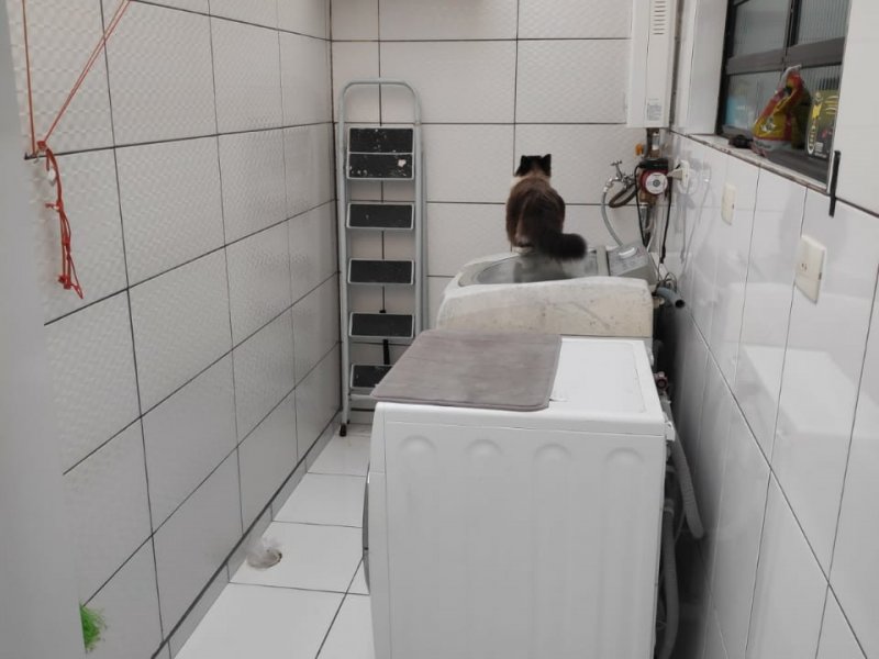 Casa de condomínio à venda Vila Eldízia com 150m² e 3 quartos por R$ 510.000 - 1931792084-img-20200619-wa0003.jpg