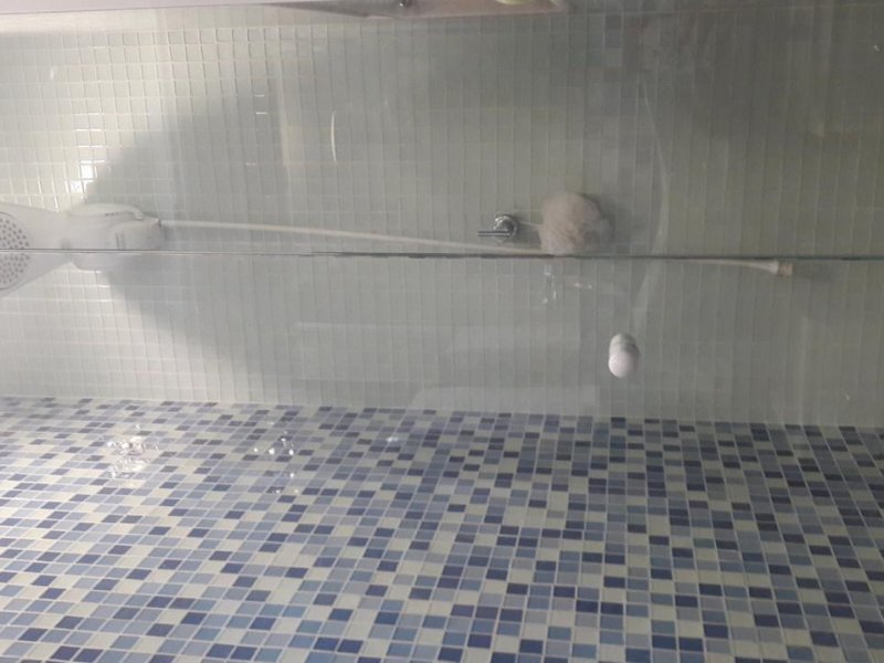 Apartamento à venda Fonseca com 53m² e 2 quartos por R$ 200.000 - 1157221621-37e6b6dd-bda6-42c1-8bc3-12138d751383.jpeg