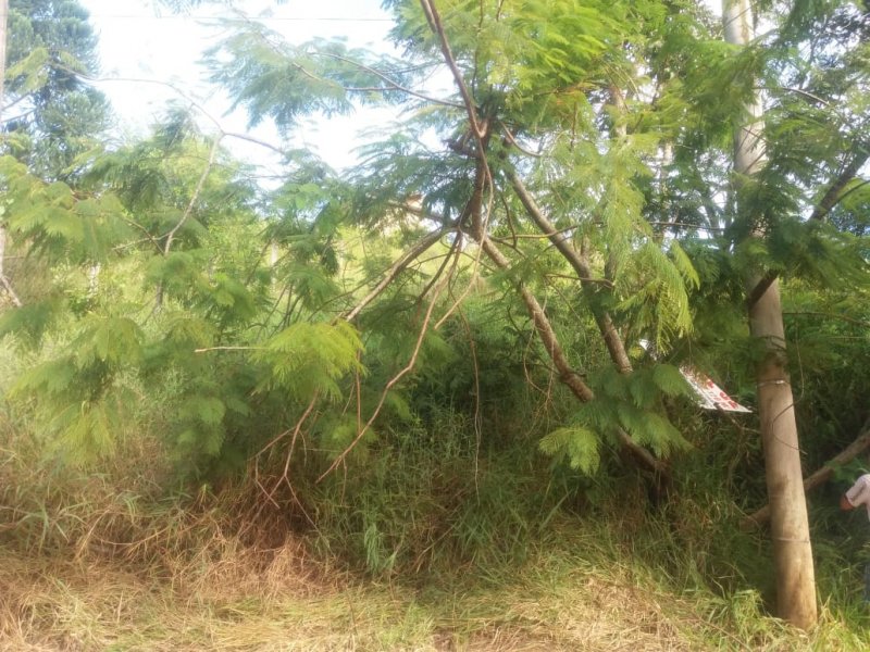 Terreno à venda Estância San Remo com 720m² e  quartos por R$ 85.000 - 116667799-img-20190424-wa0027.jpg