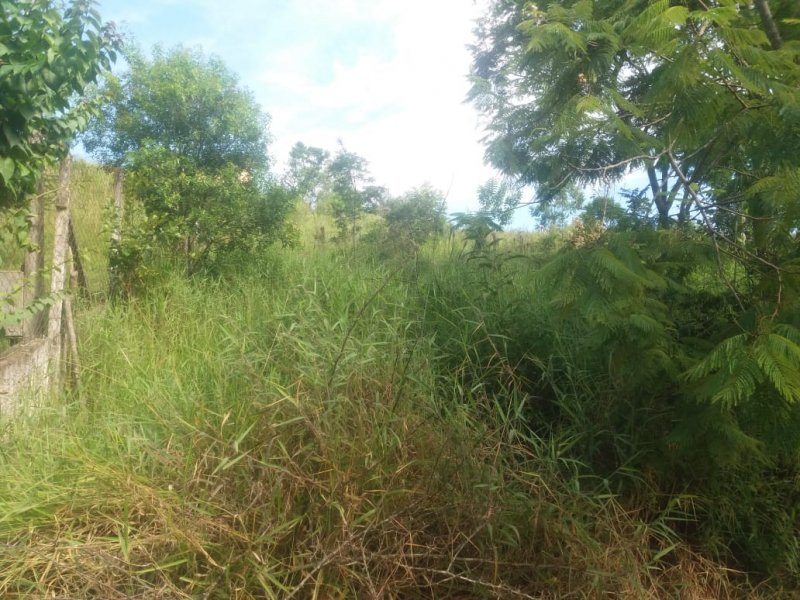 Terreno à venda Estância San Remo com 720m² e  quartos por R$ 85.000 - 1964166640-img-20190424-wa0026.jpg