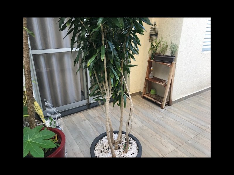 imóvel com 103m² - Vila Homero Thon - Santo André
